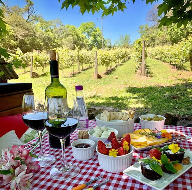 Vinícola Granja Da Telha