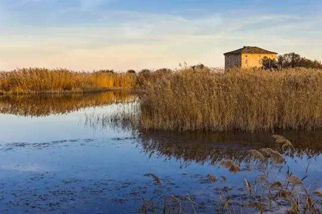 Riserva Naturale Regionale Sentina