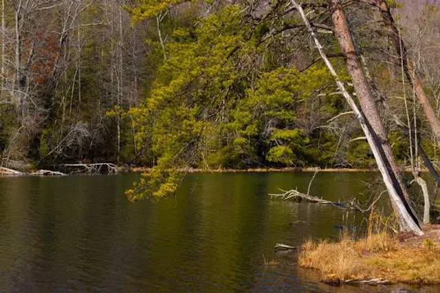 Bays Mountain Park & Planetarium