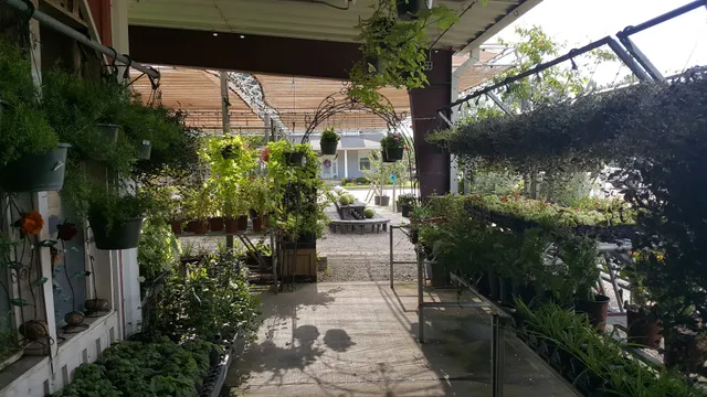 Worley's Vegetable Market