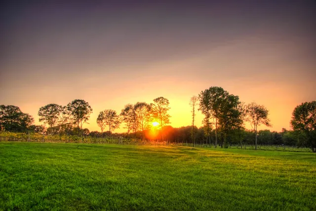 Priam Vineyards a Winiarski Family Vineyard