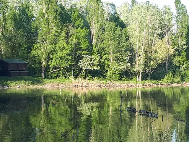 Oasi WWF di Marmirolo