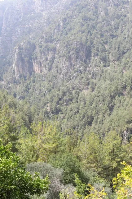 Jabal Moussa Biosphere Reserve