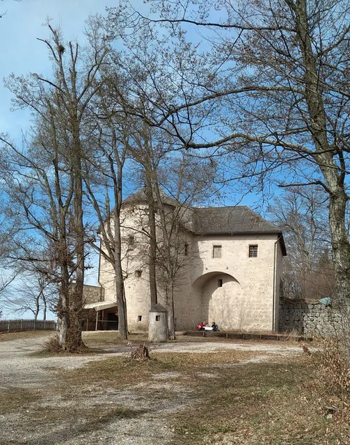 Höhlenburg von Stein an der Traun