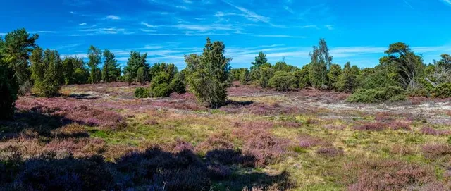 Samtgemeinde Wesendorf