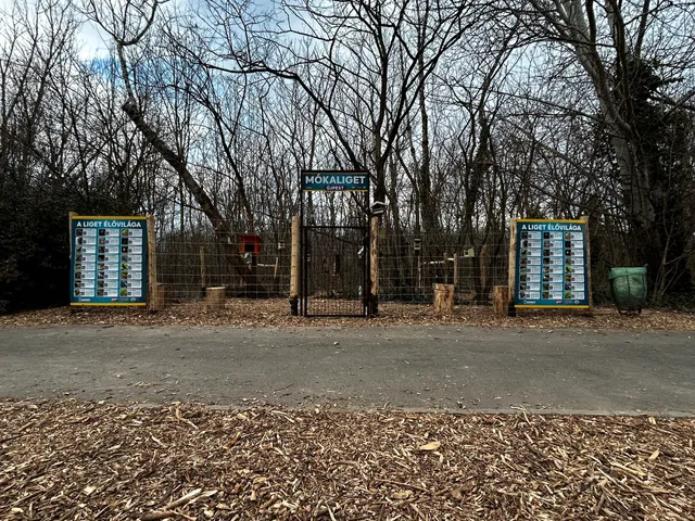 Mókaliget mókusetető