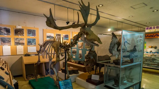 Mine City Museum of History and Folklore