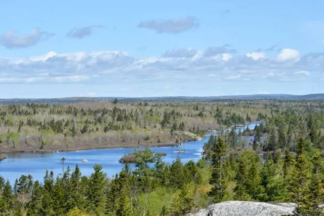 The Bluff Wilderness Trail
