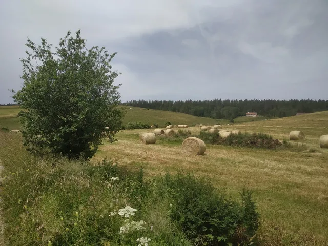 Réserve naturelle régionale des tourbières du bief de Nanchez