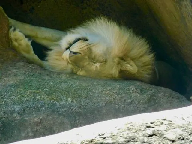 Zoo Atlanta