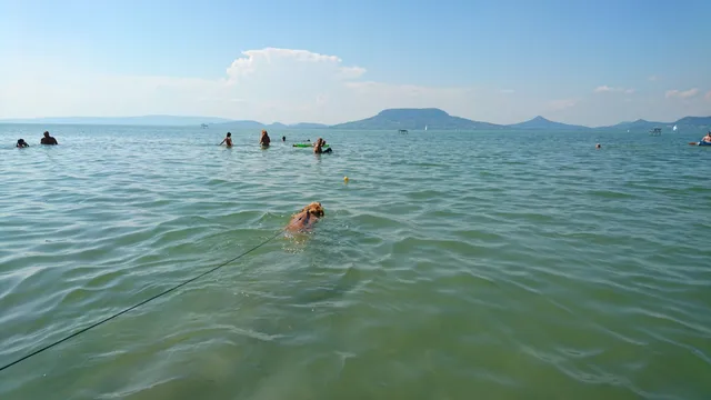 photo-3