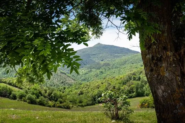 Riserva Naturale Foresta di Berignone