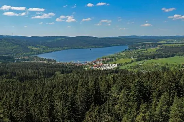 Königreich des Waldes