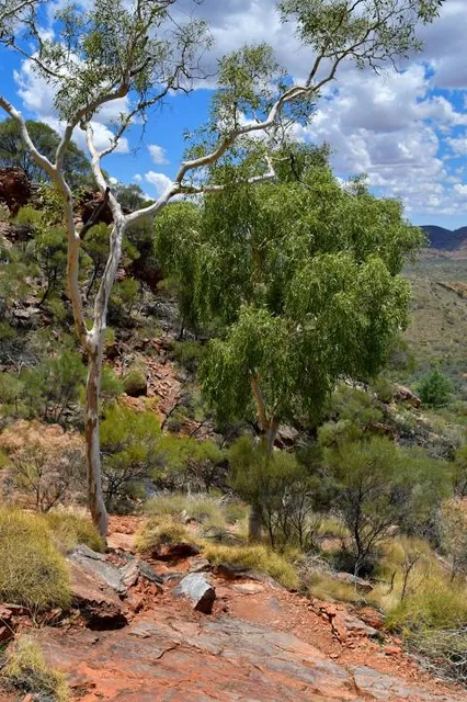 Centro de Visitantes Mata-Bejid