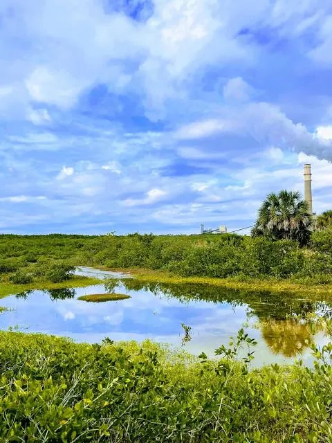 Manatee Viewing Center-1