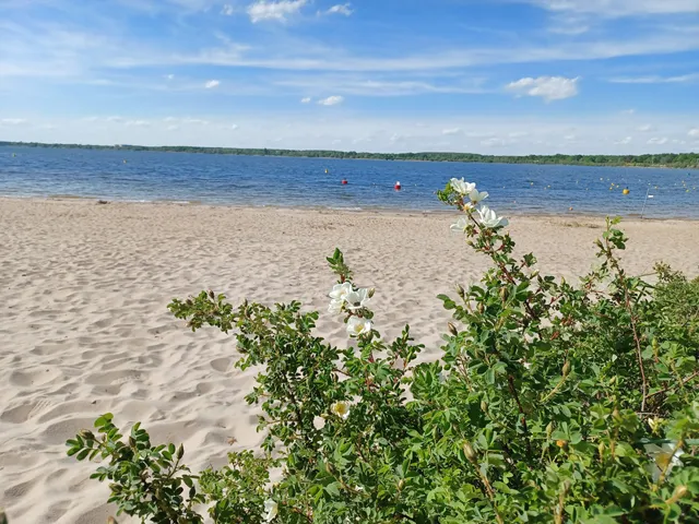 Parkplatz Großkoschen Seestrand
