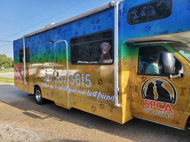 Rayne Animal Shelter