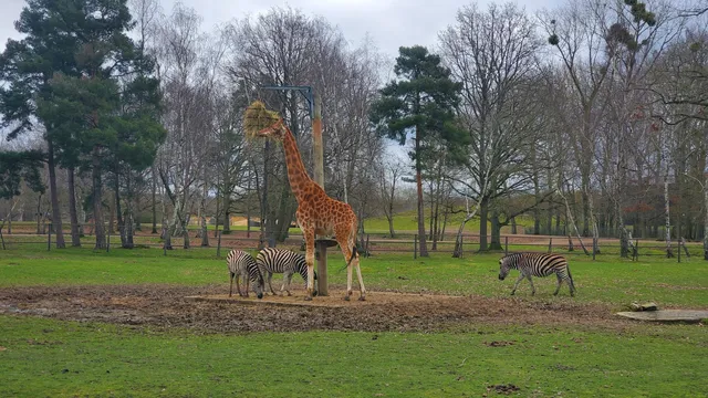 Parc Zoologique de Loisirs