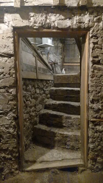 photo-1