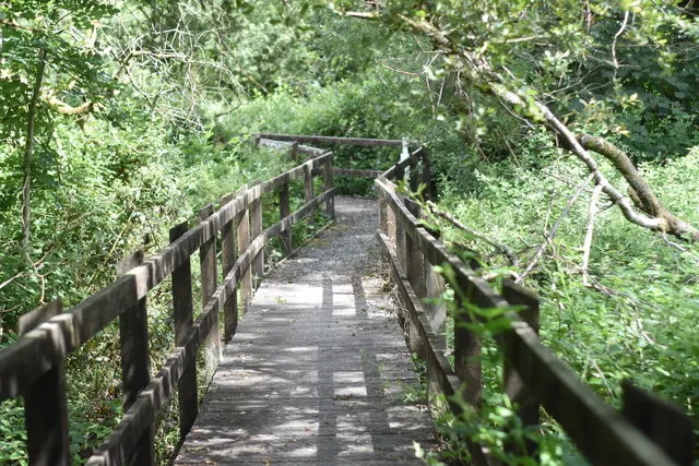 Vale of Avalon / Arthurian Centre