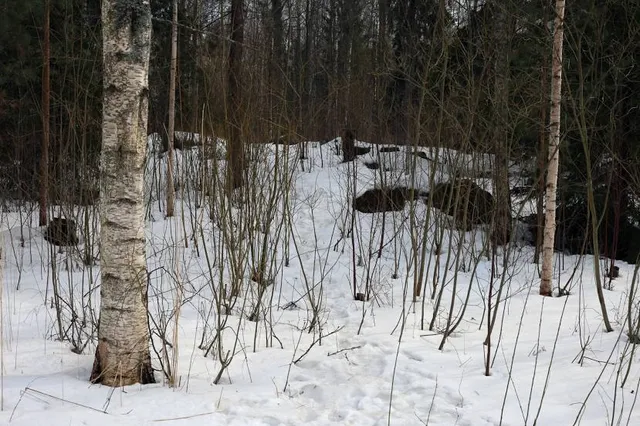 Schumann Preserve at Pilot Knob