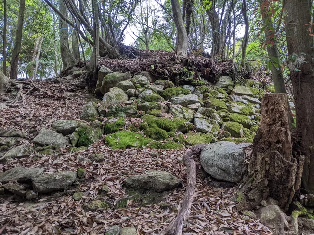 Usayama Castle Ruins