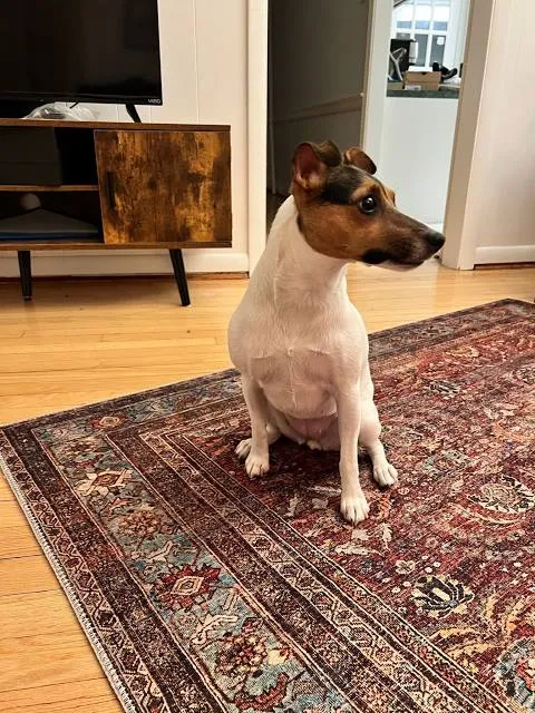 Parque Getúlio Vargas