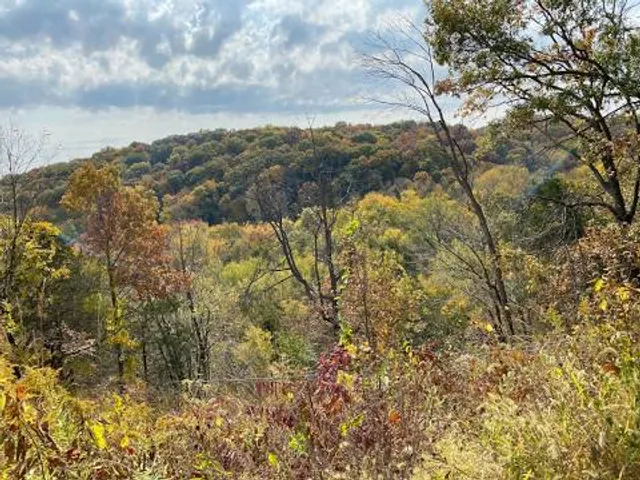 Yellow River State Forest - Paint Creek Unit