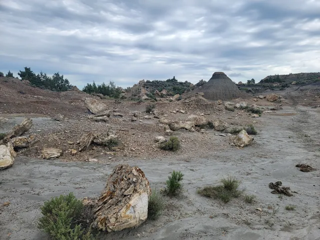 place image