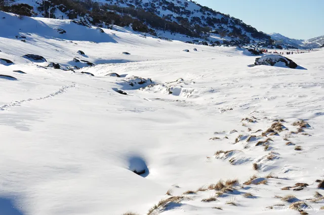 Perisher XC Centre