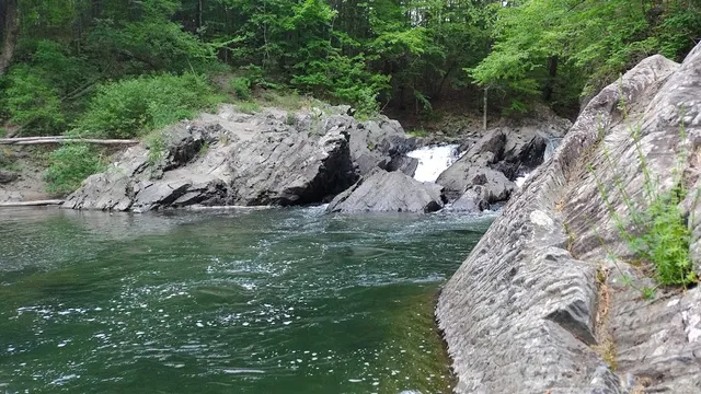 Thetford Hill State Park