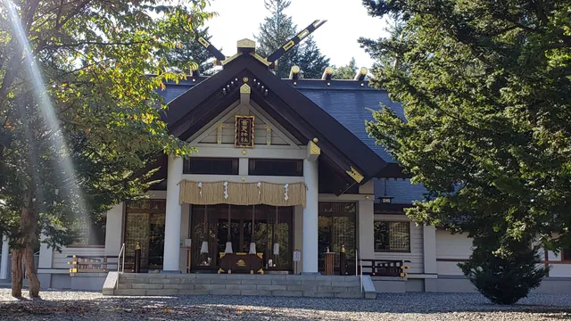 photo-2