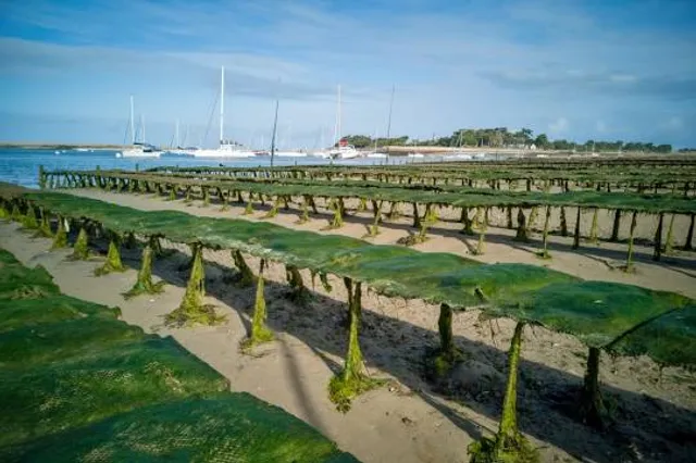 Szalay's Farm & Market