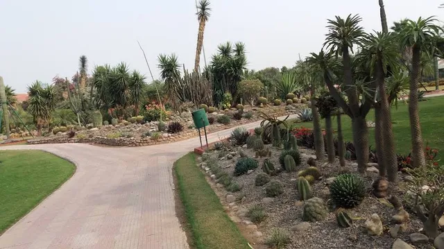 Cactus Garden
