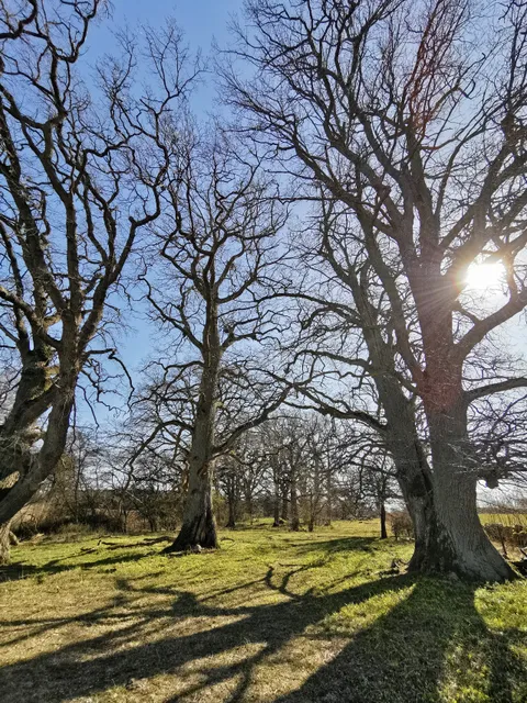Djuröns Nature reserve