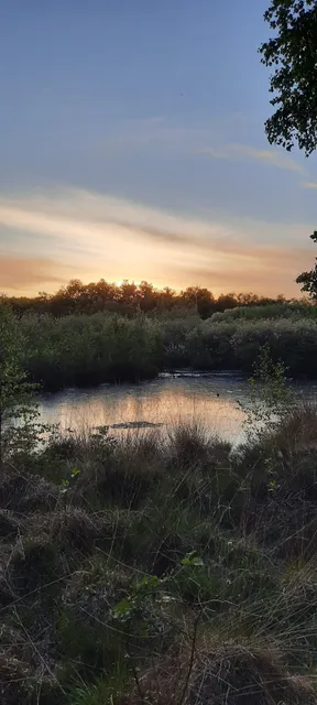 Lehr- & Erlebnispfad Emsdettener Venn