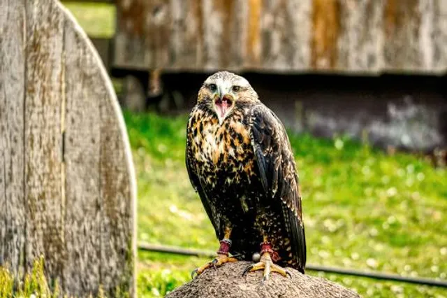 Landkreis St. Wendel