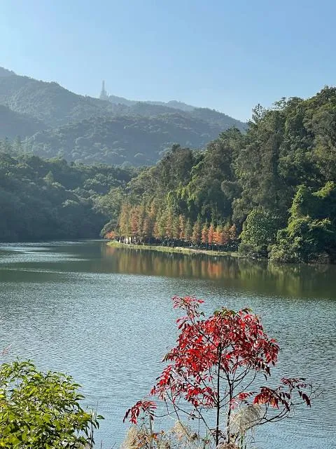 Pat Sin Leng Country Park