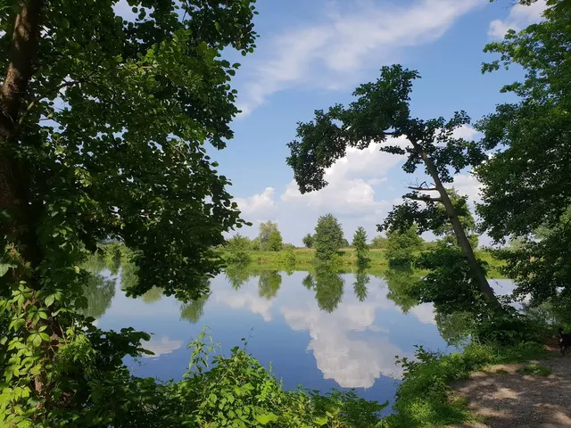 Bedekovčanska jezera