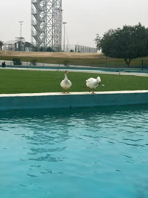 Swan Park at King Fahd Theme Park