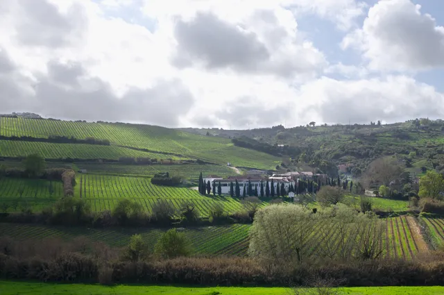 Quinta de Pancas