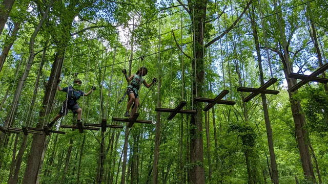 Go Ape Zipline and Adventure Park