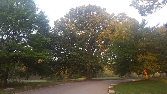 Cherokee Park Scenic Loop