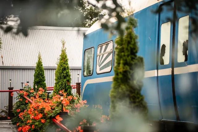 Tour Wellington – Blue Train Kāpiti