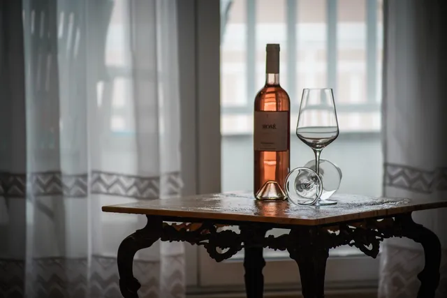 Apartment Kotromanica IV