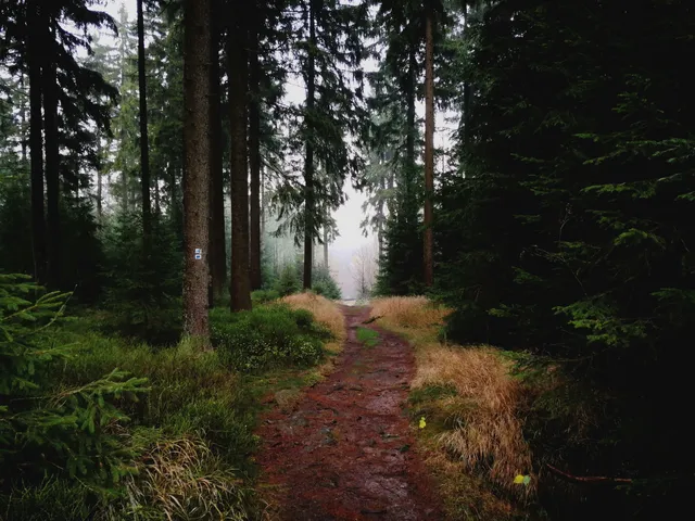 Steinwald e.V. Nature Park