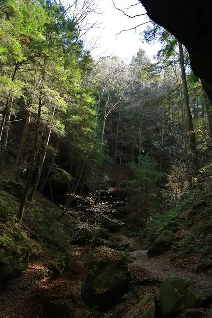 Conkles Hollow State Nature Preserve