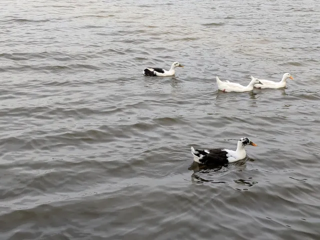 Milford Wampold Memorial Park