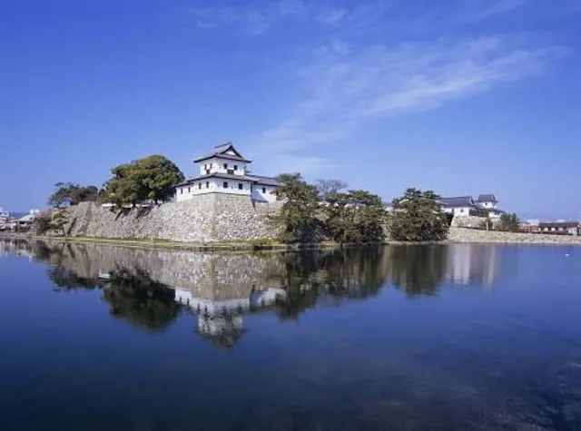 photo-3