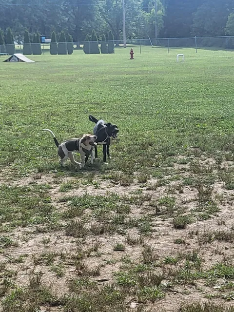 Wadsworth Community Dog Park